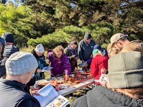 Fungi Identification Tour