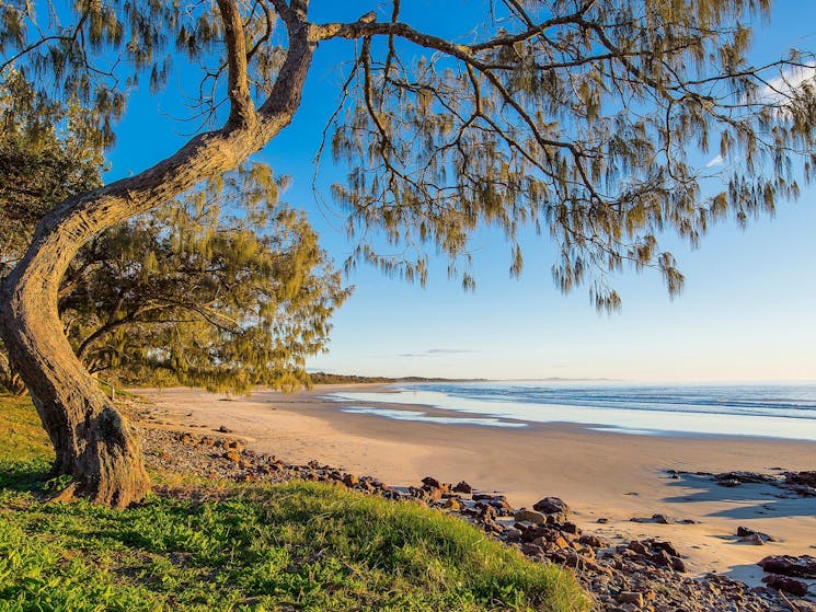 Rainbow Beach, Bonny Hills