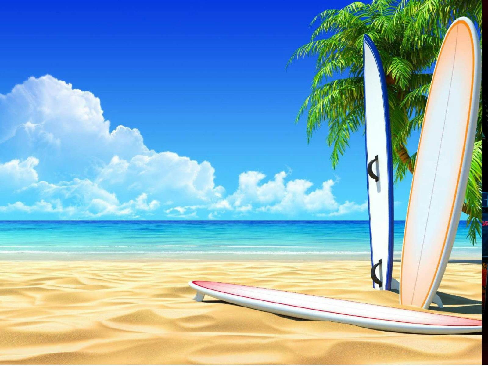 Sandy beach, turquoise ocean, blue sky, one malibu surfboard lying on sand, two upright against tree
