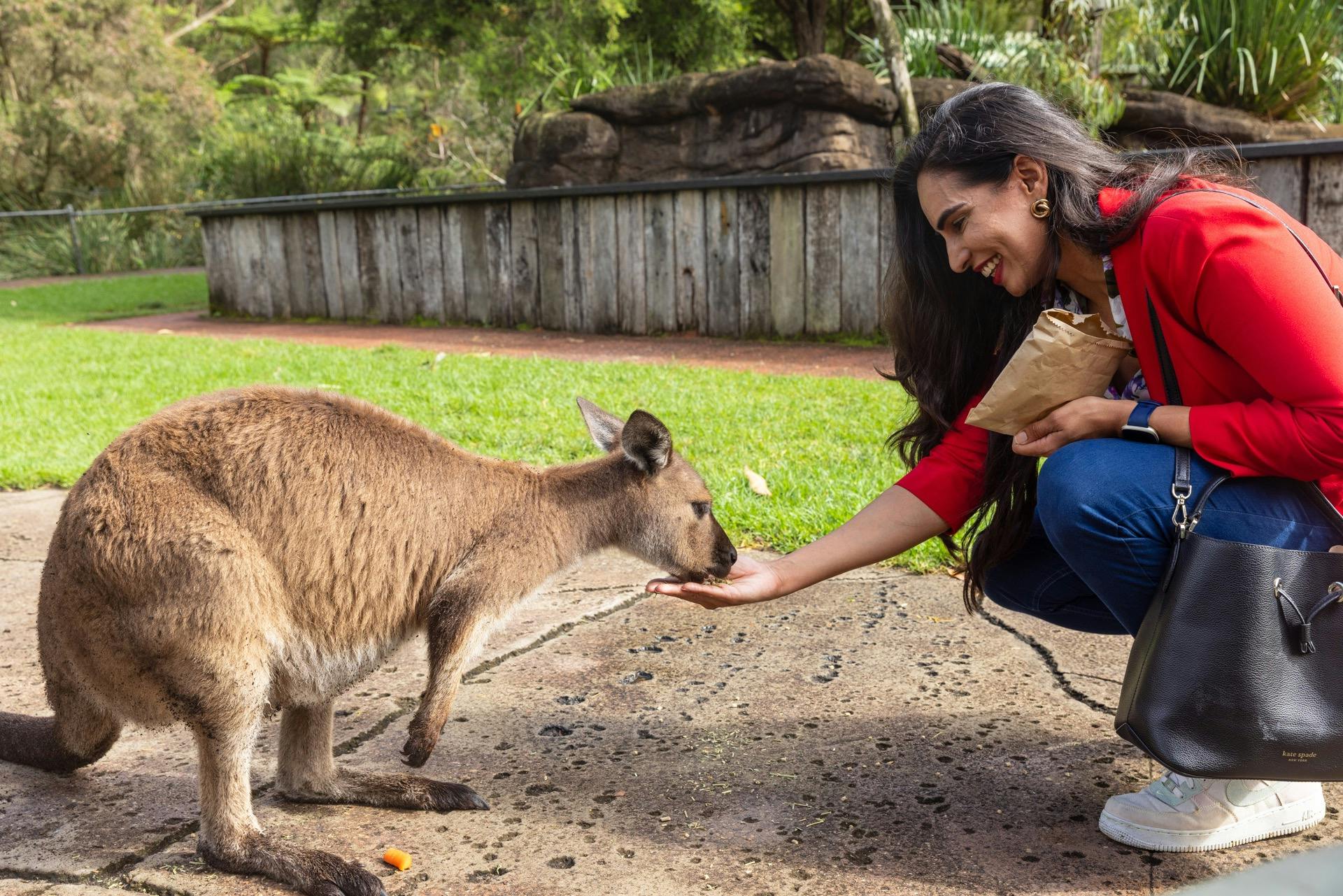 호주 파충류 공원