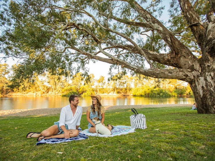 A young couple enjoying a picnic under a large tree along the riverside