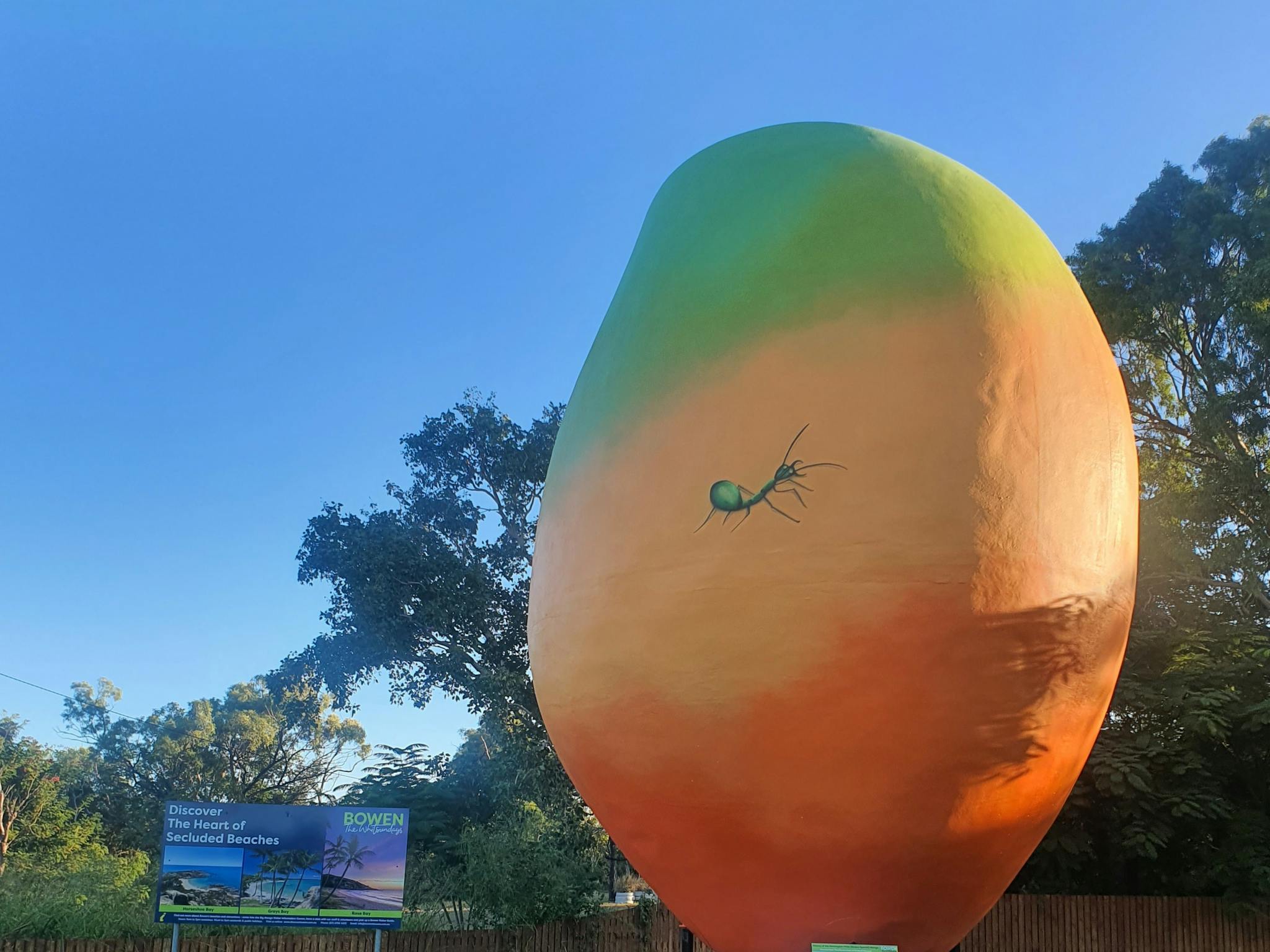 Big Mango
