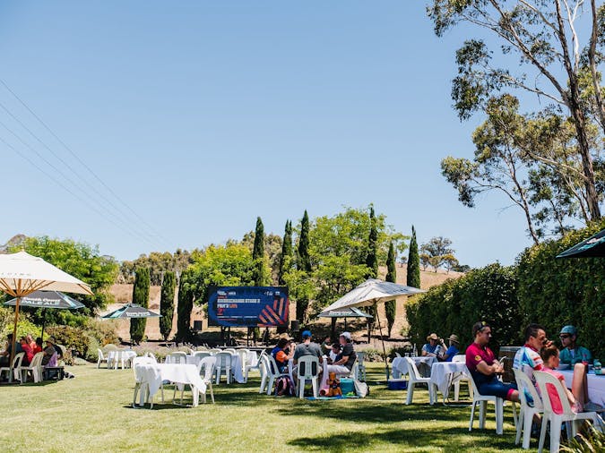 Santos Festival of Cycling Detours: McLaren Vale