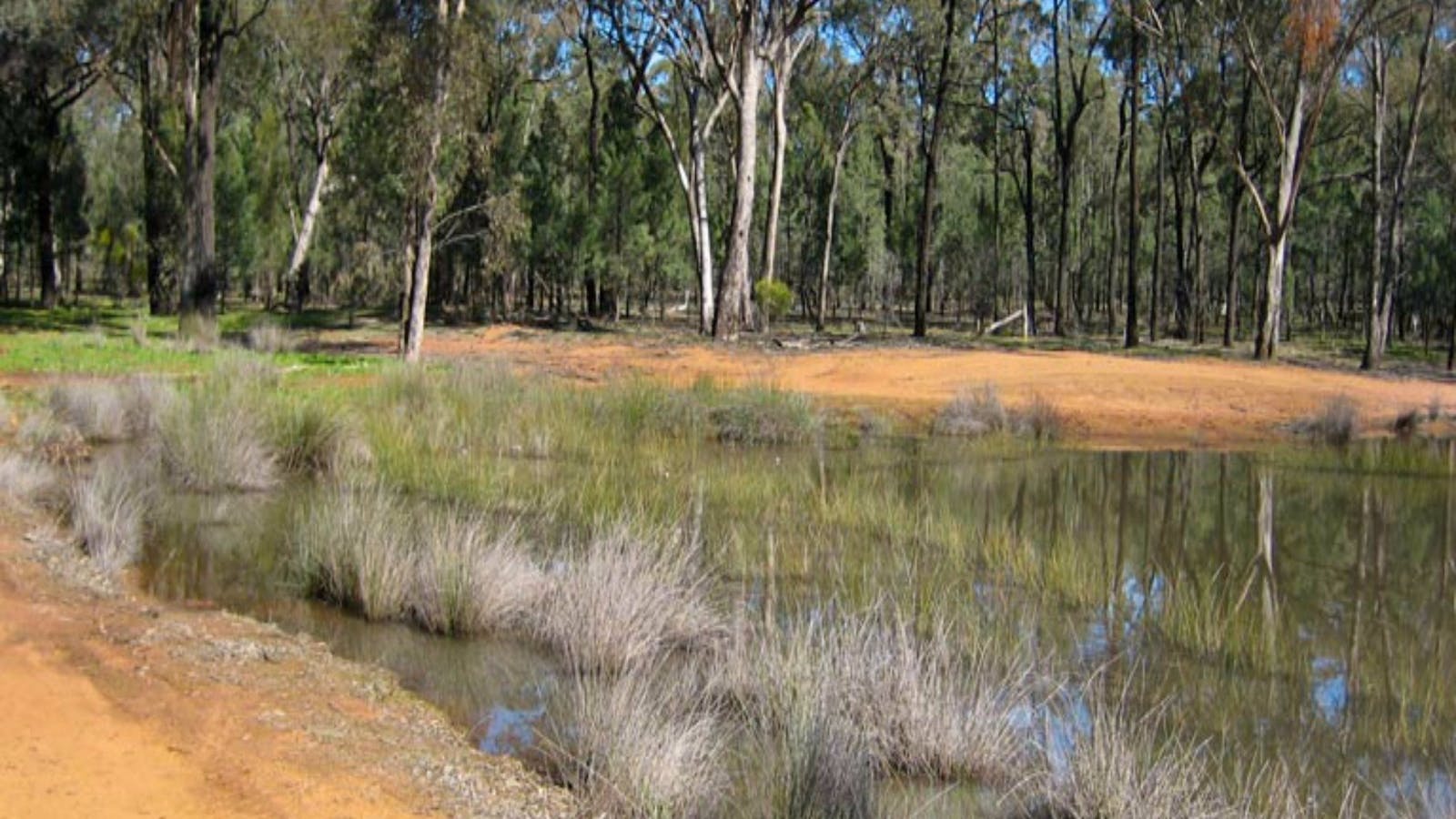 Beni State Conservation Area
