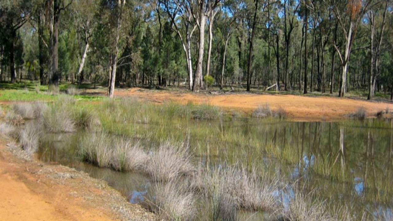 Beni State Conservation Area