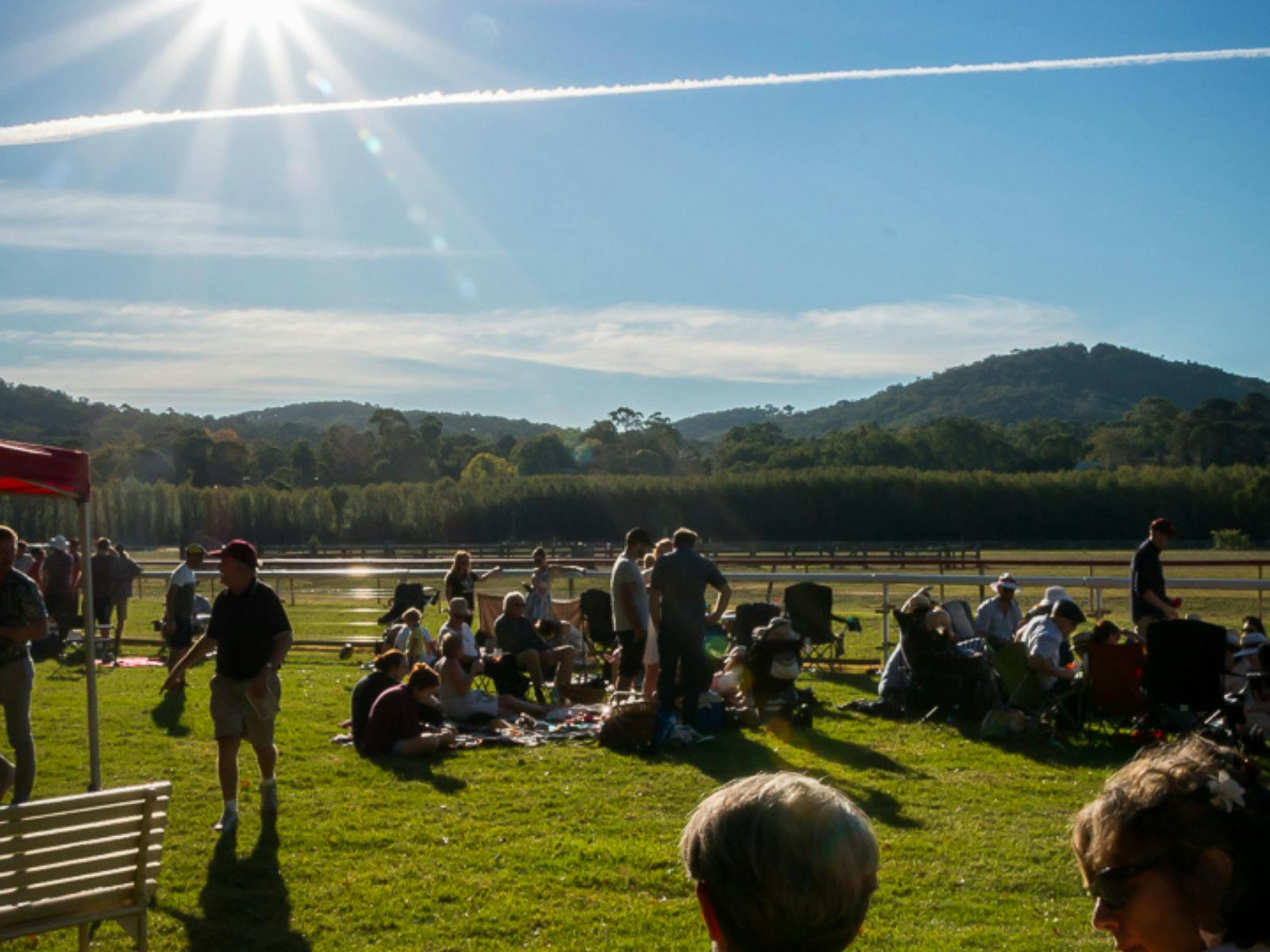 Healesville Racing Club - Race day