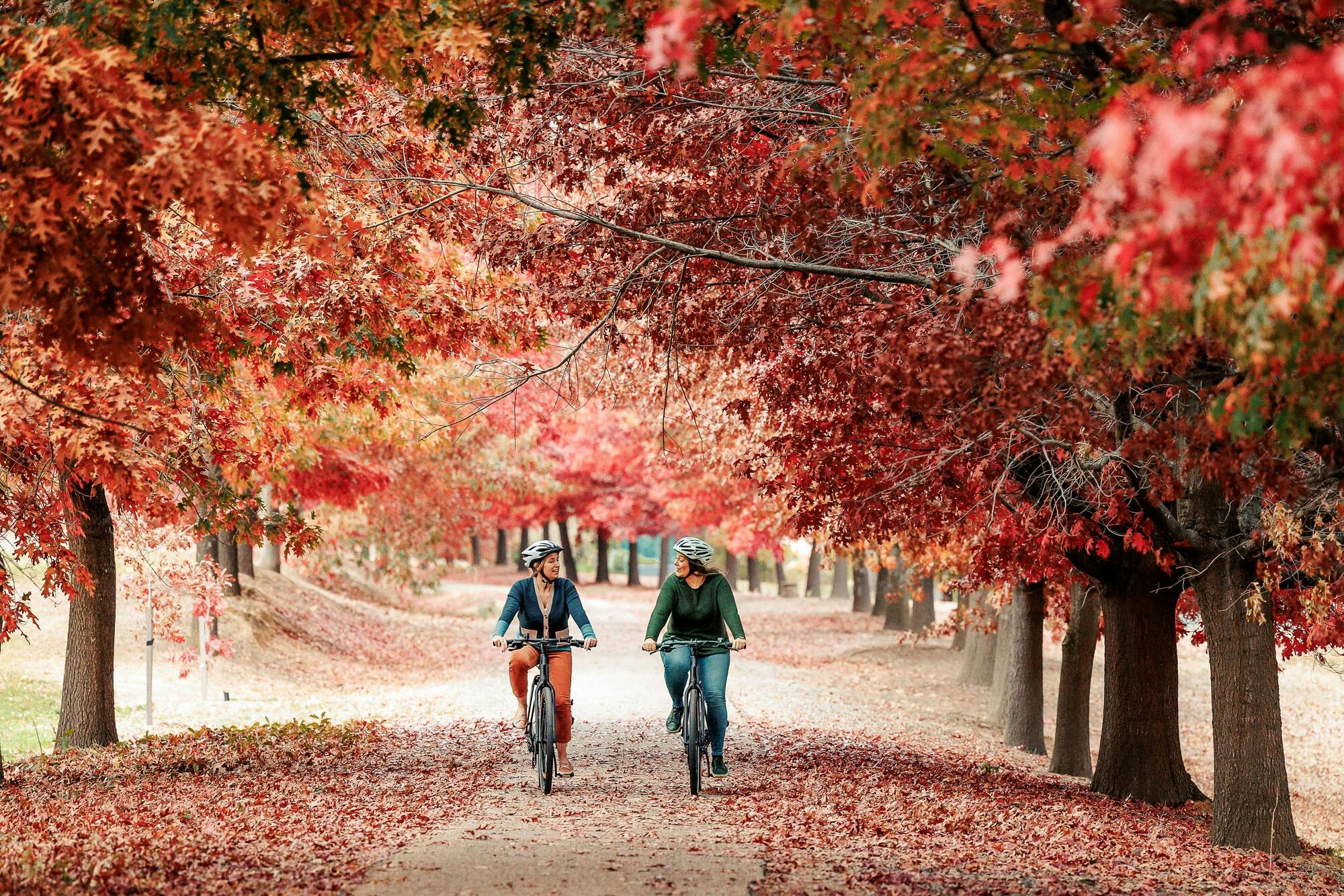 Two women riding bikes on a bike path surrounded by red and gold autumn trees