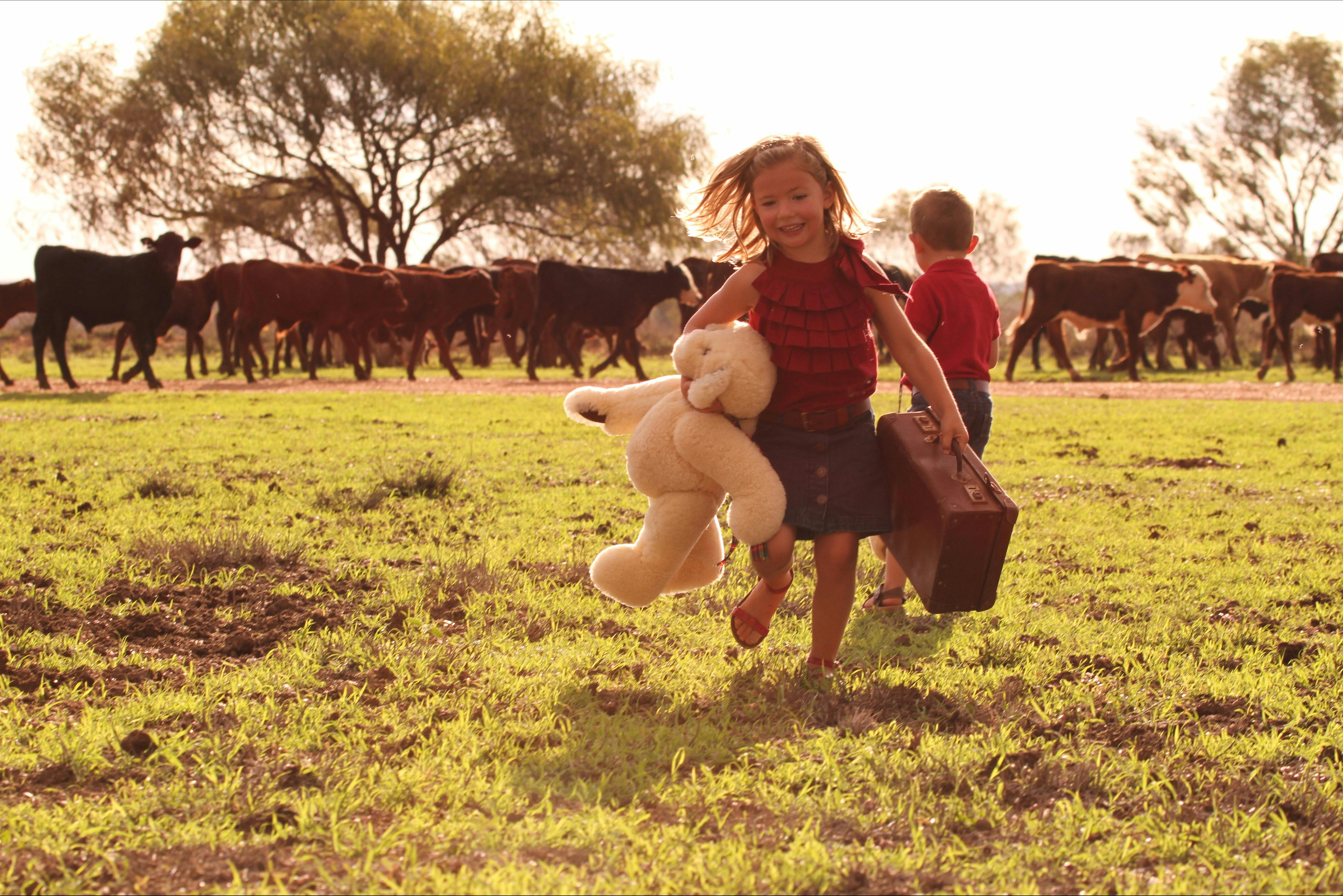 Tambo Teddies