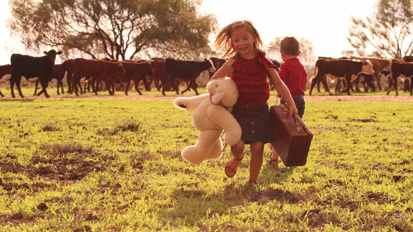 Tambo Teddies