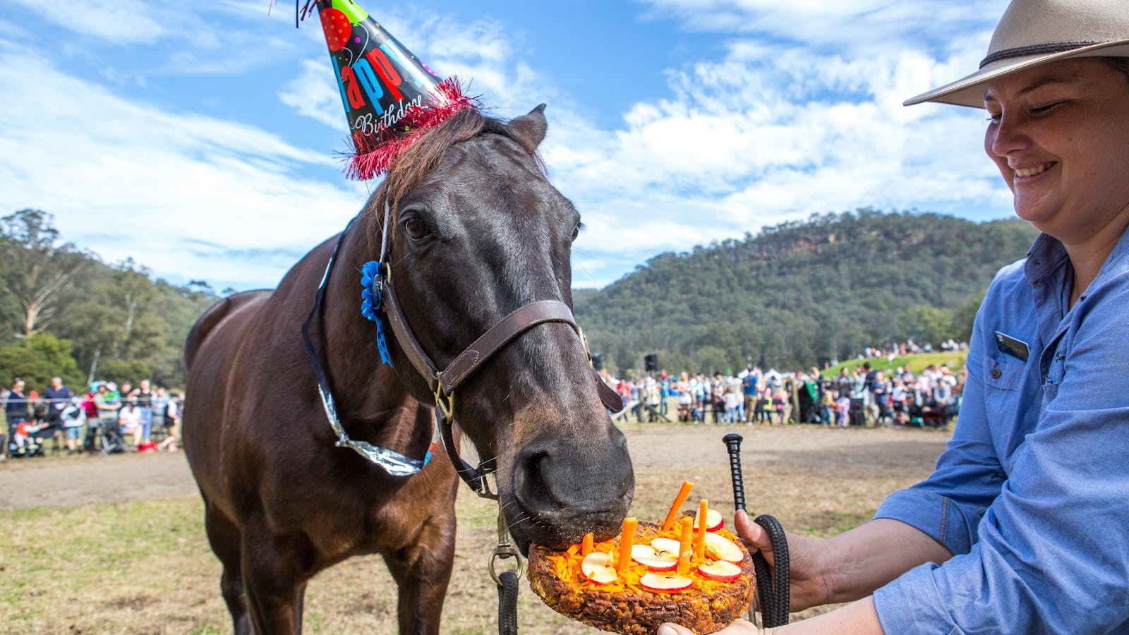 Image for Horses Birthday Festival