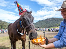 Horses Birthday Kids Festival Cover Image