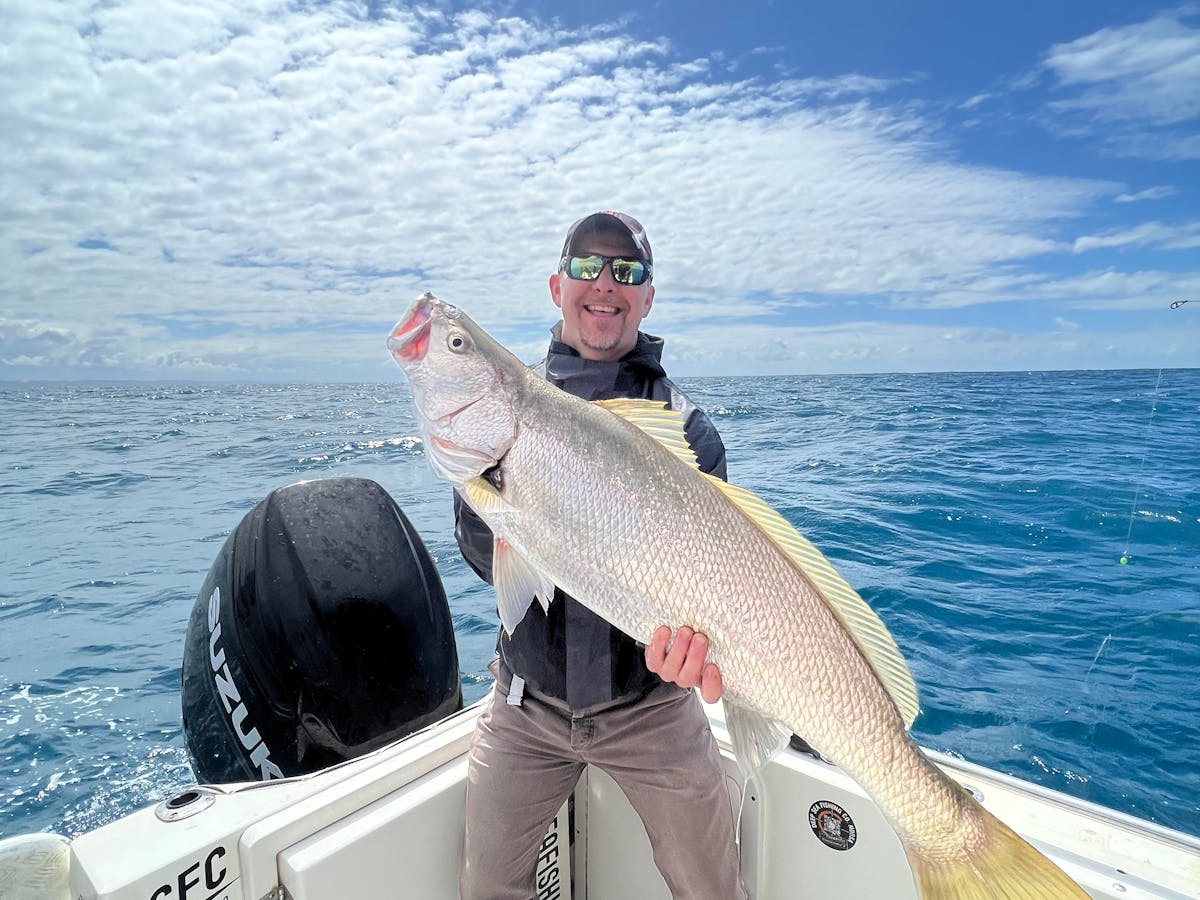 amber jack