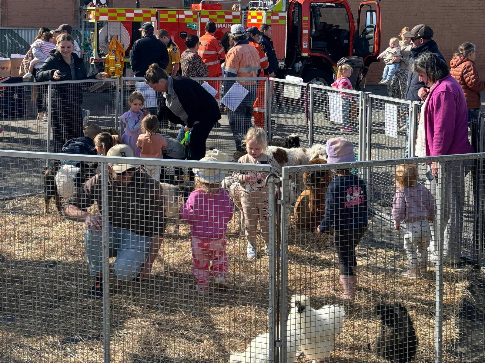 Children and parents inside a outdoor wire pen petting and interacting with farm animals.
