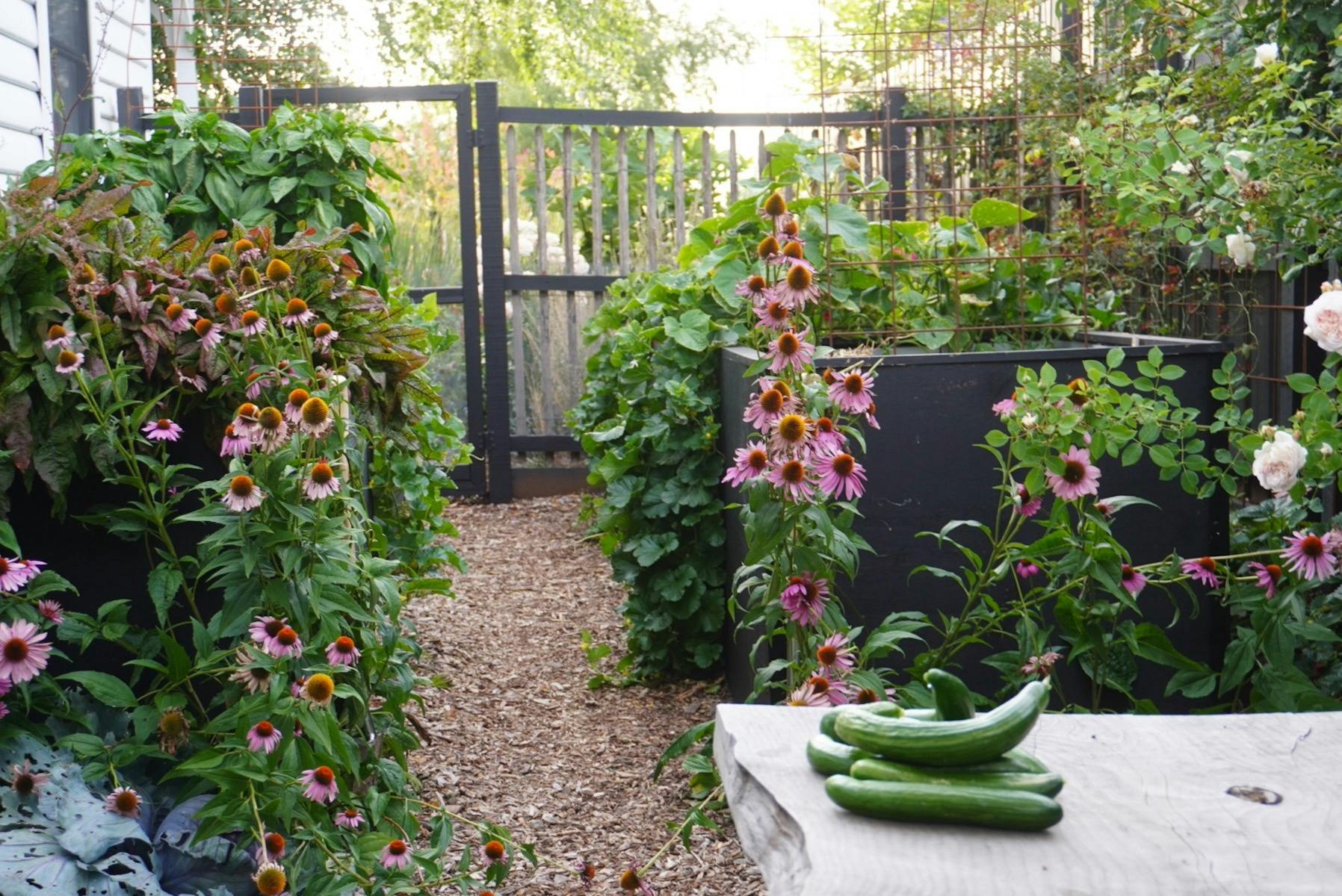 Natasha Morgan's wicking bed productive garden