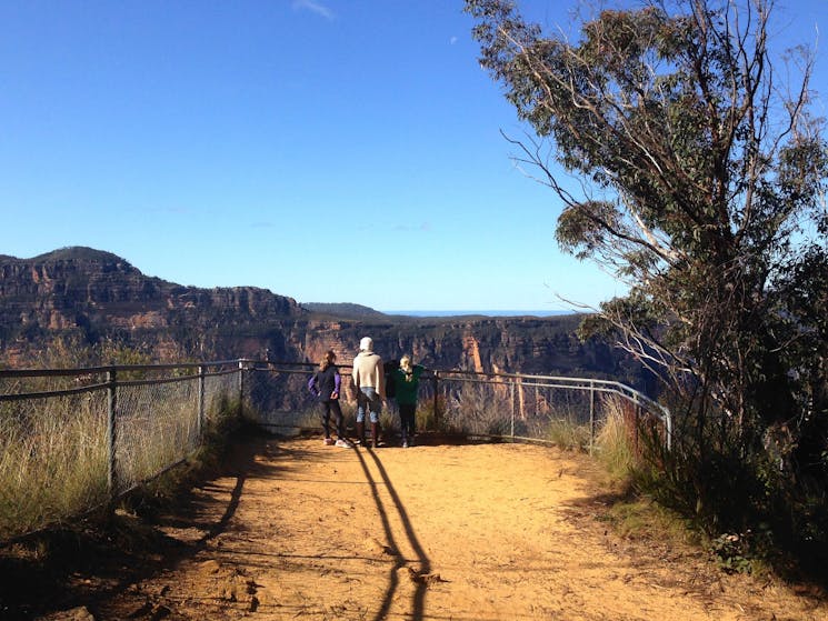 Blue Mountains eco tour