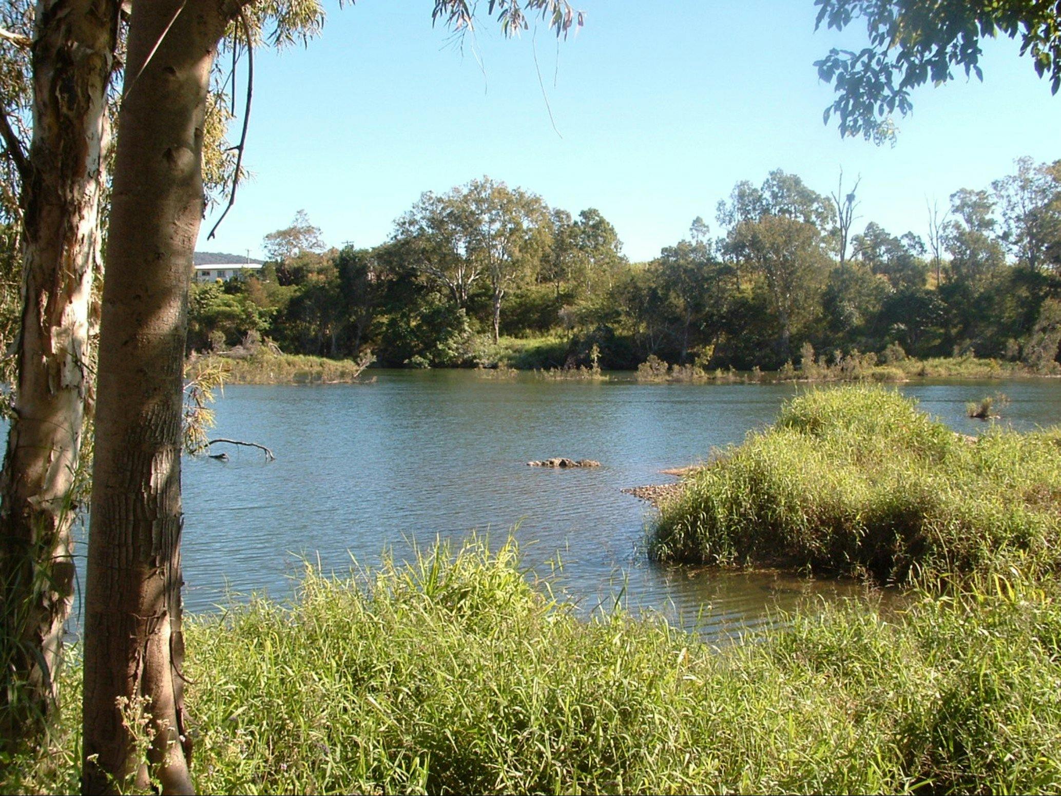 Pioneer River, Marian Qld