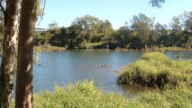 Pioneer River, Marian