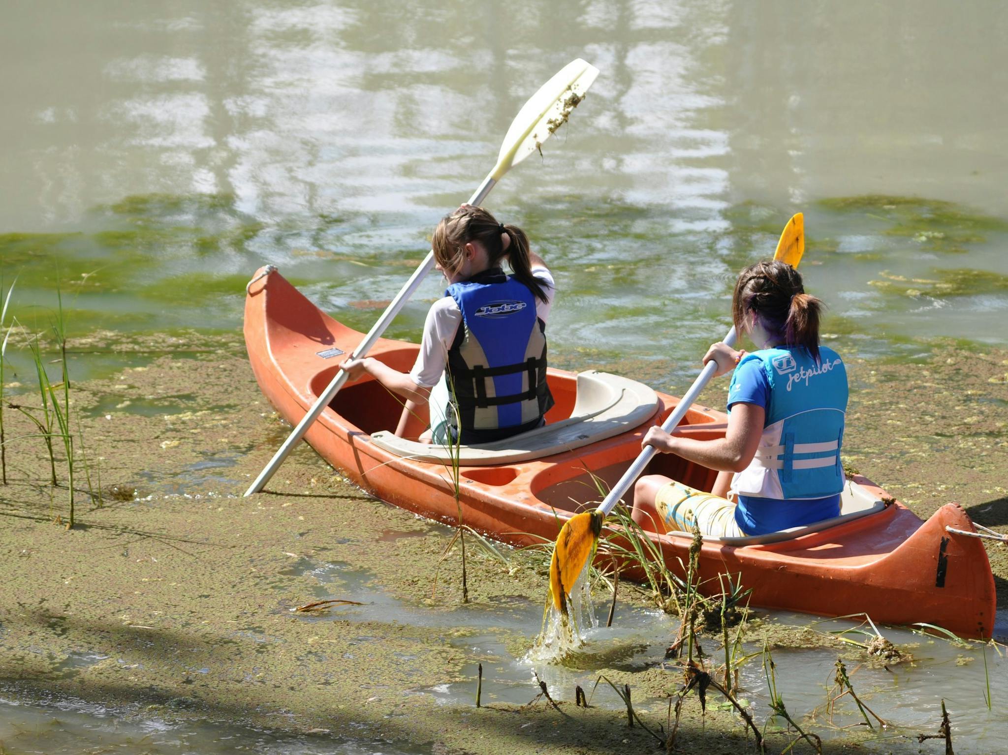 murray river