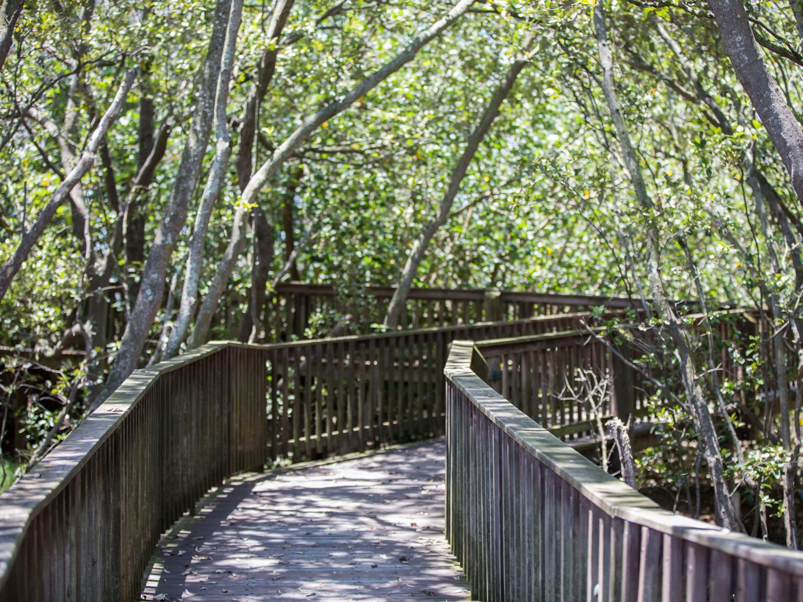 Osprey House Environmental Centre - Yali Moyum Trail