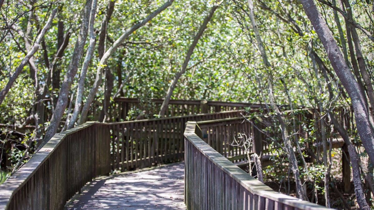 Osprey_House_Education_Centre_Griffin_in_Moreton_Bay_Region_3