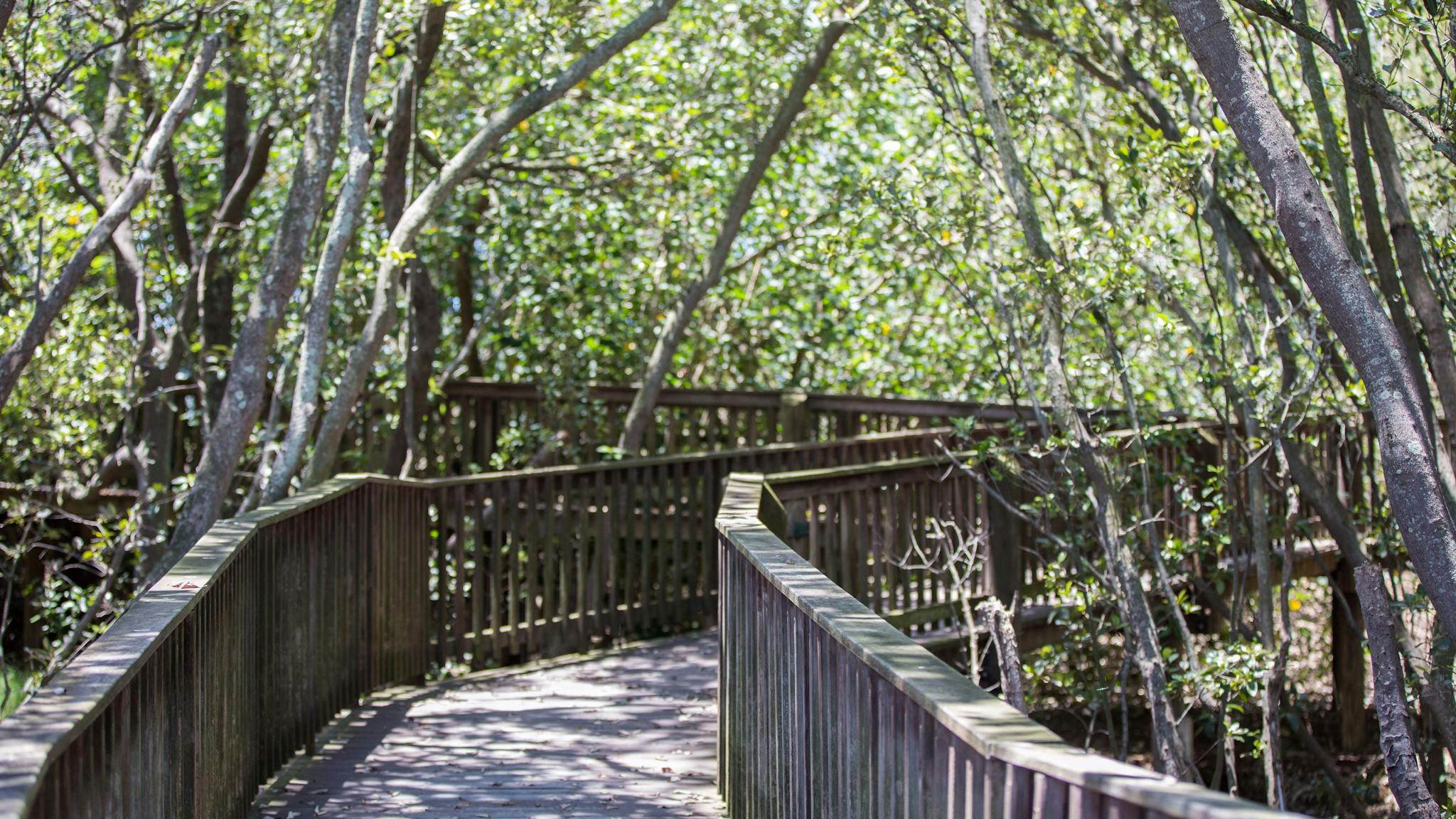 Osprey_House_Education_Centre_Griffin_in_Moreton_Bay_Region_3 Osprey_House_Education_Centre_Griffin_in_Moreton_Bay_Region_3