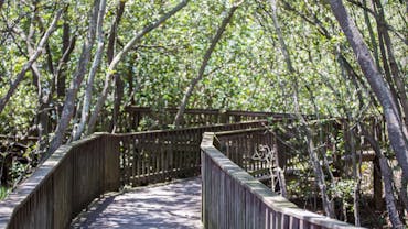 Osprey_House_Education_Centre_Griffin_in_Moreton_Bay_Region_3