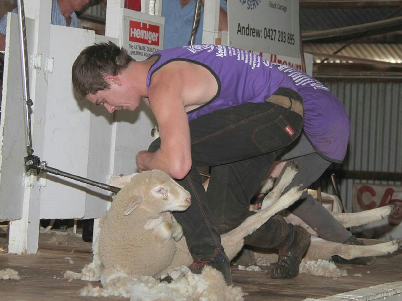 Image for Cootamundra Show Speed Shear