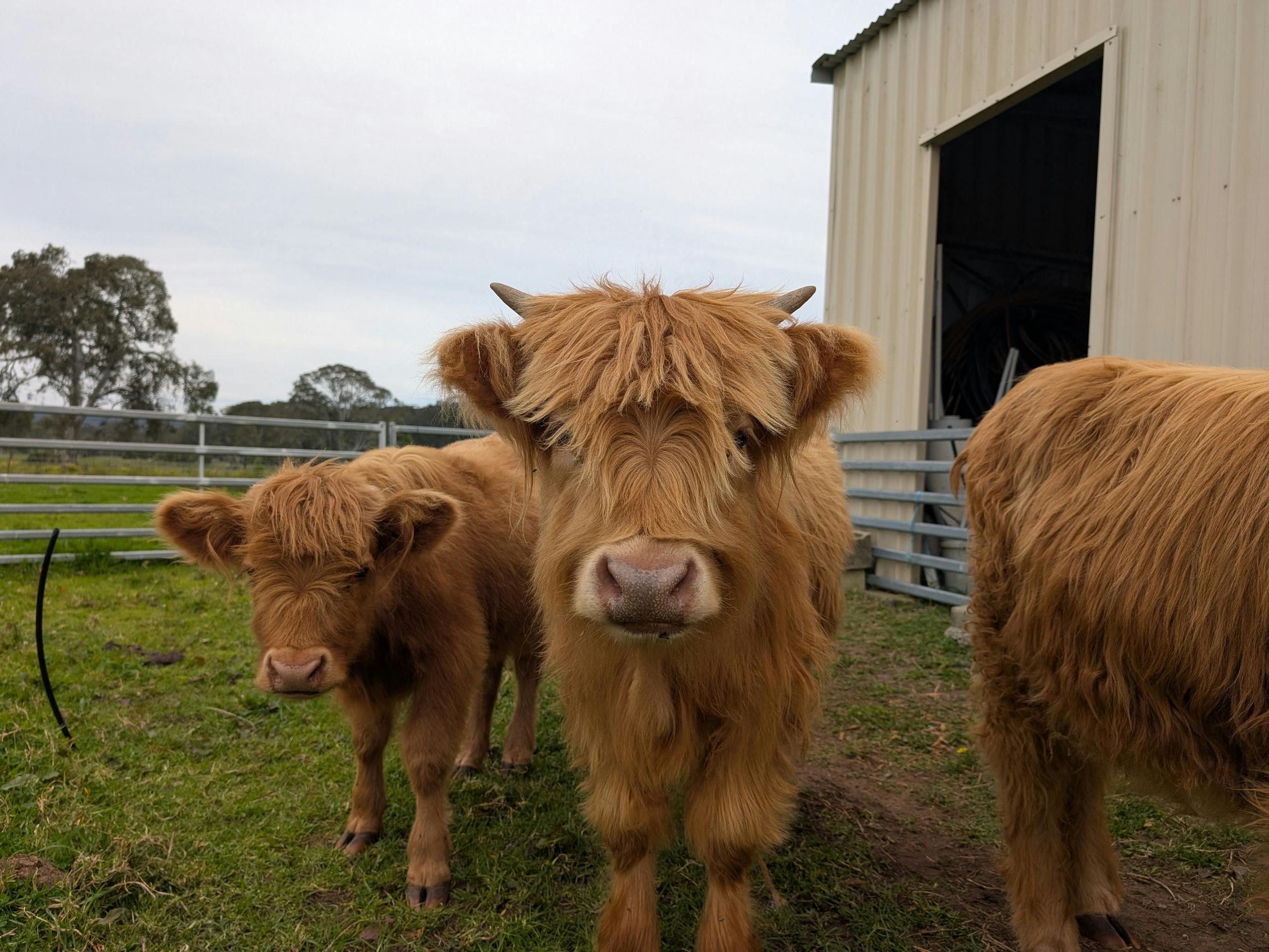 Highlands The Givings Farm