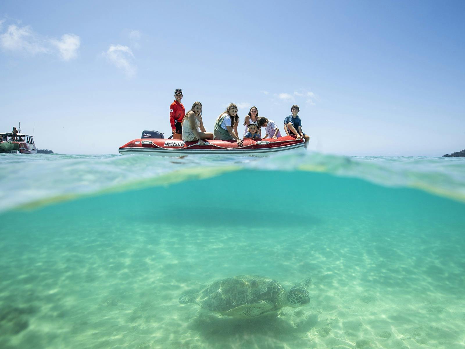 Tongarra Day Sail - Red Cat Adventures