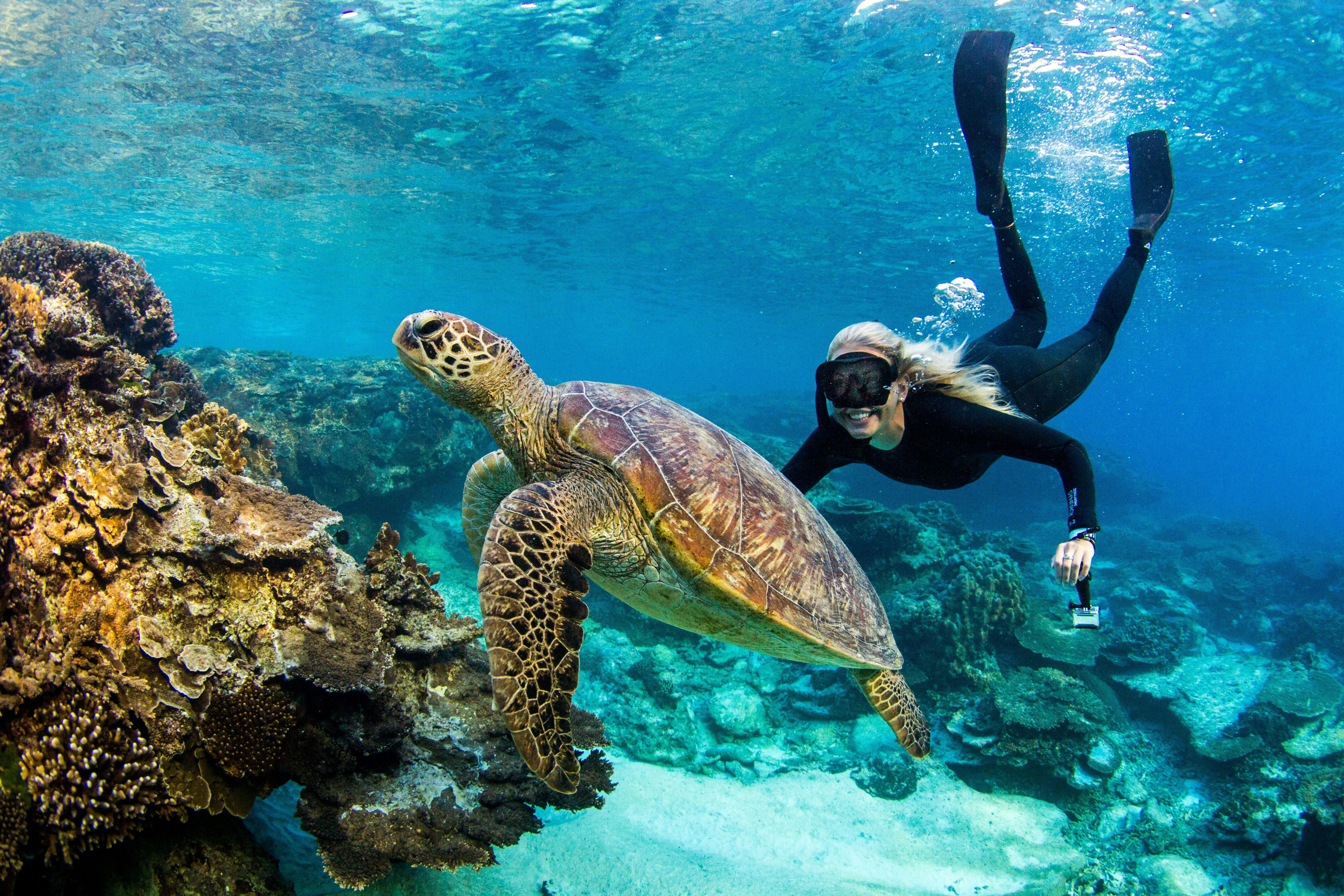 Snorkel Tour