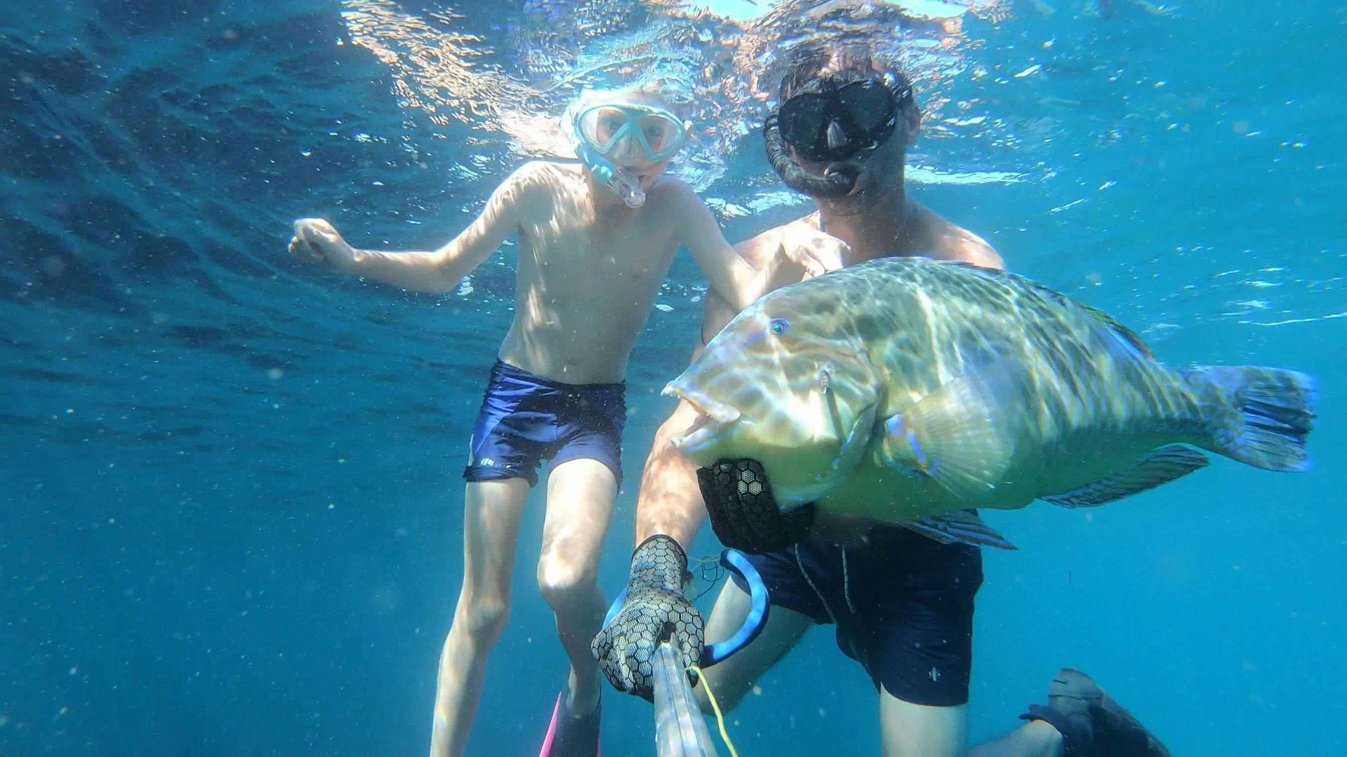 Spearfishing Adventure