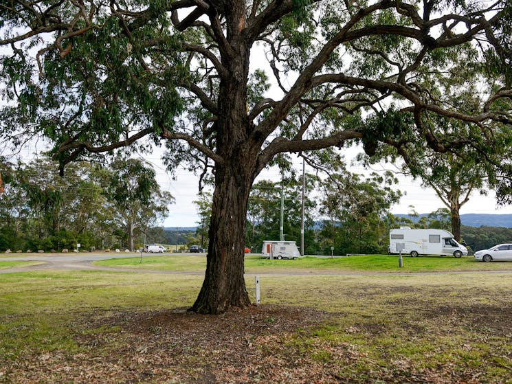 Nowra Showground