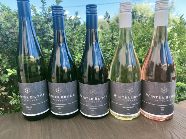 Winter Brook Vineyard