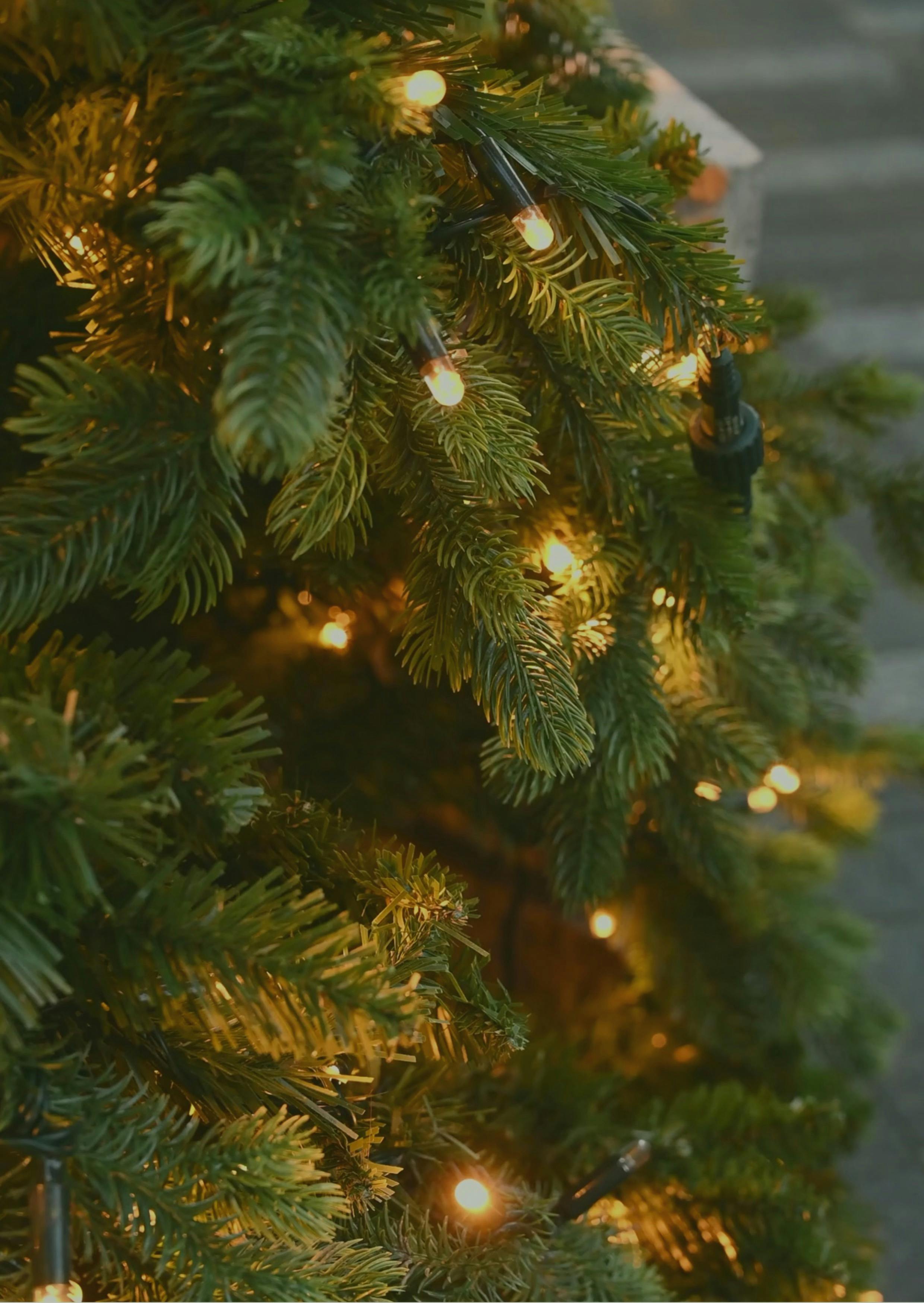 希望の光 – メアリー・マッキロップ・プレイスのクリスマスイルミネーション