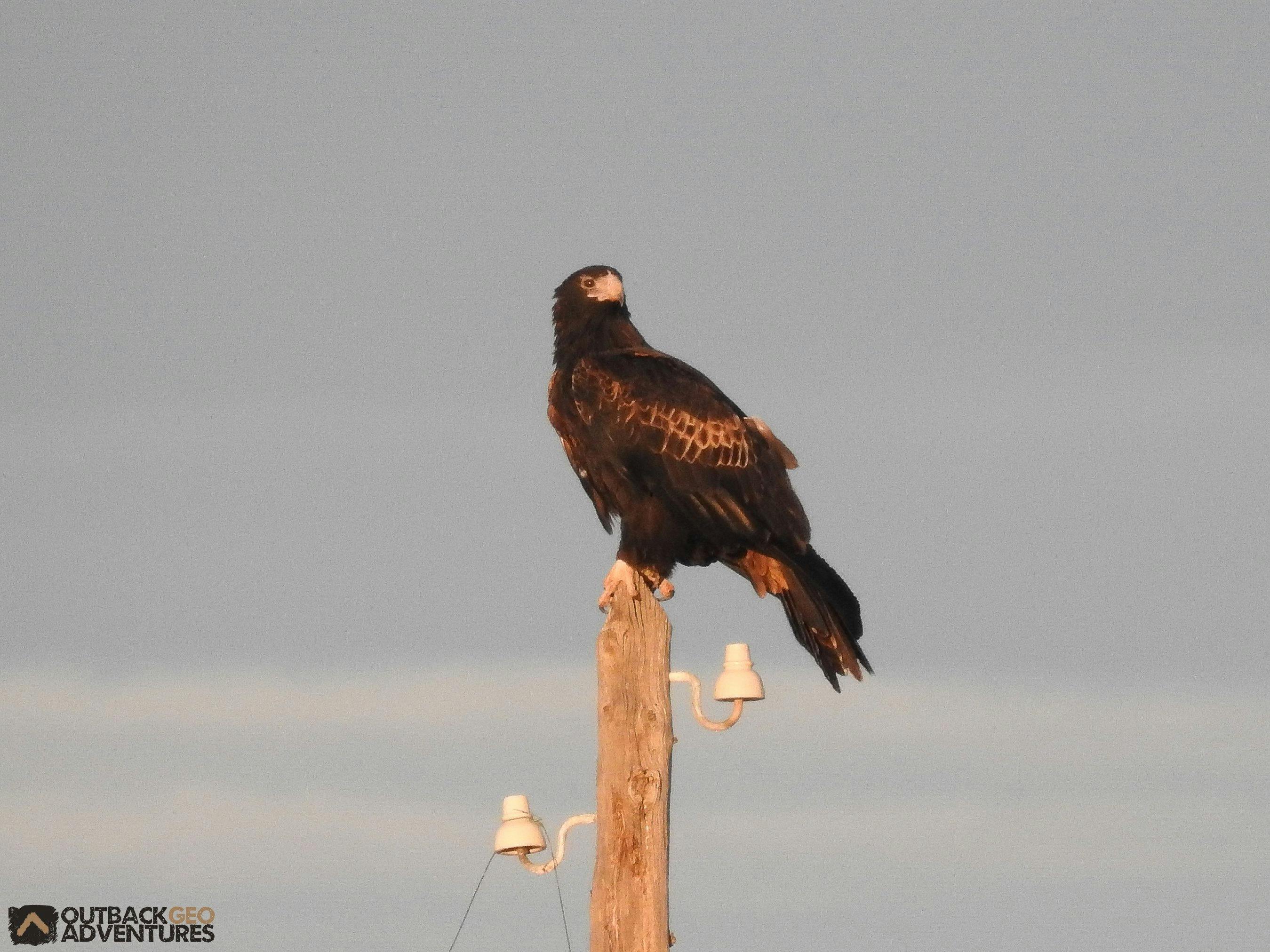 Mungo Sunset Tours from Balranald, NSW