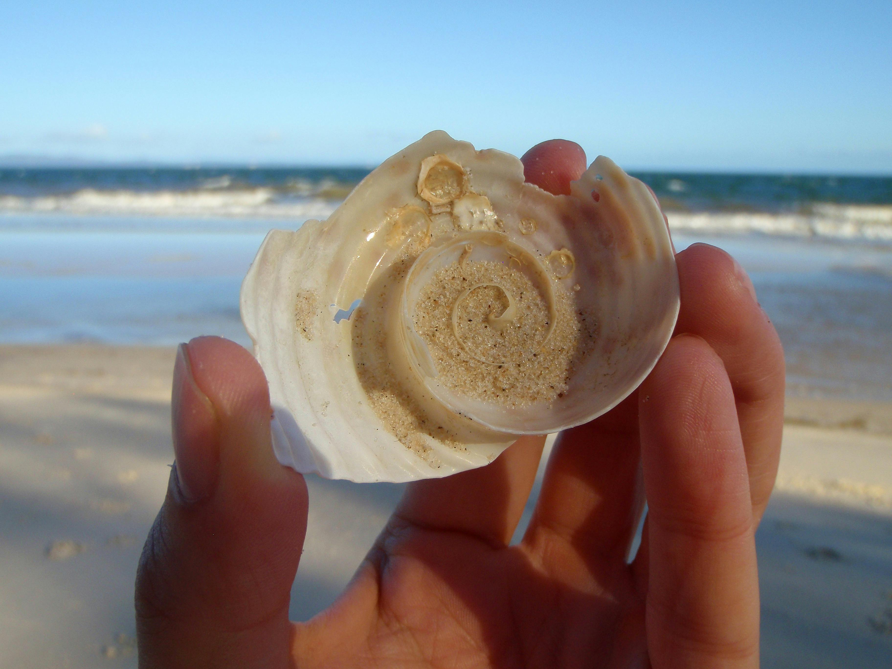 Buckley's Hole Bribie island