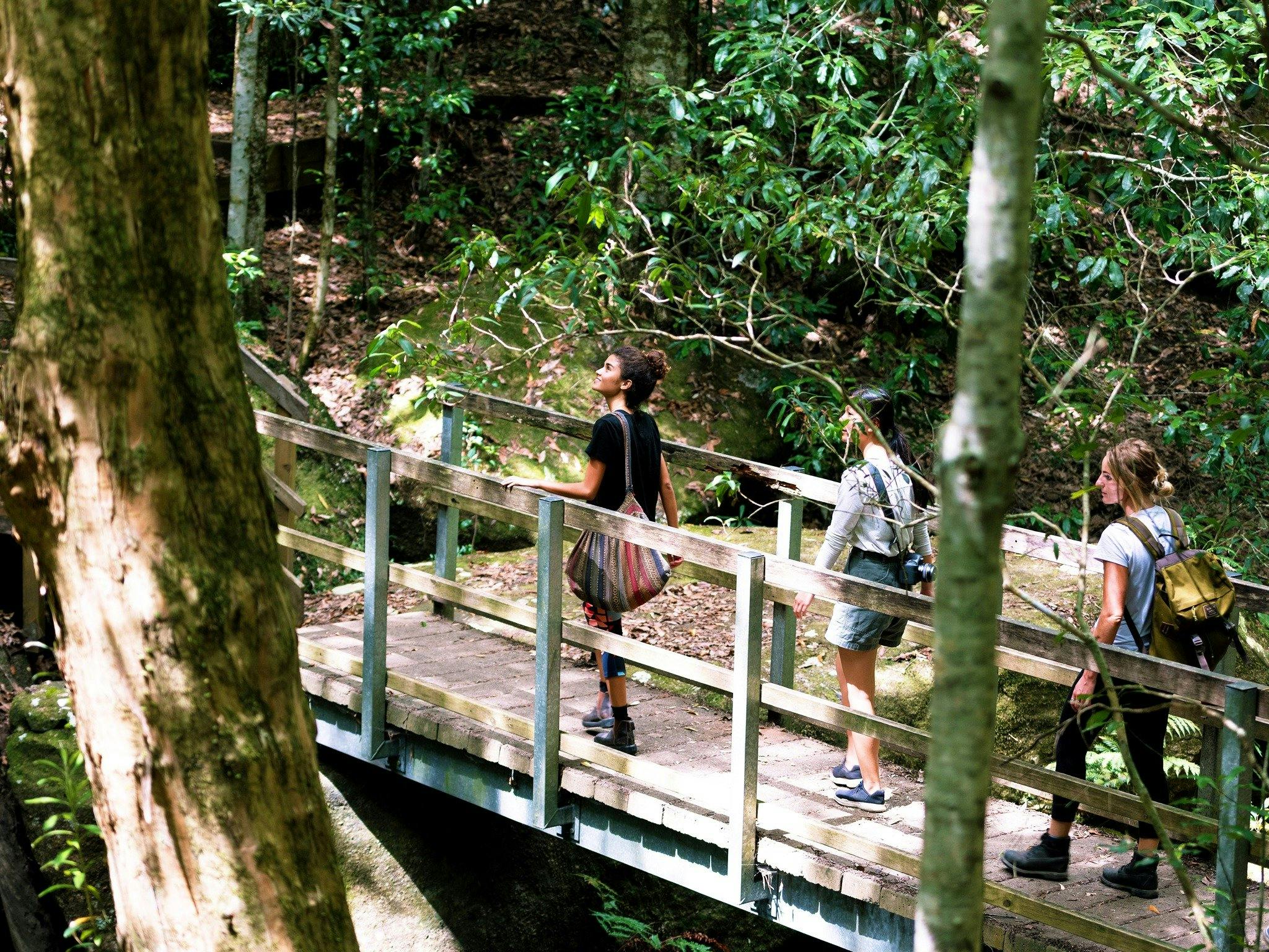 watagan cycle track