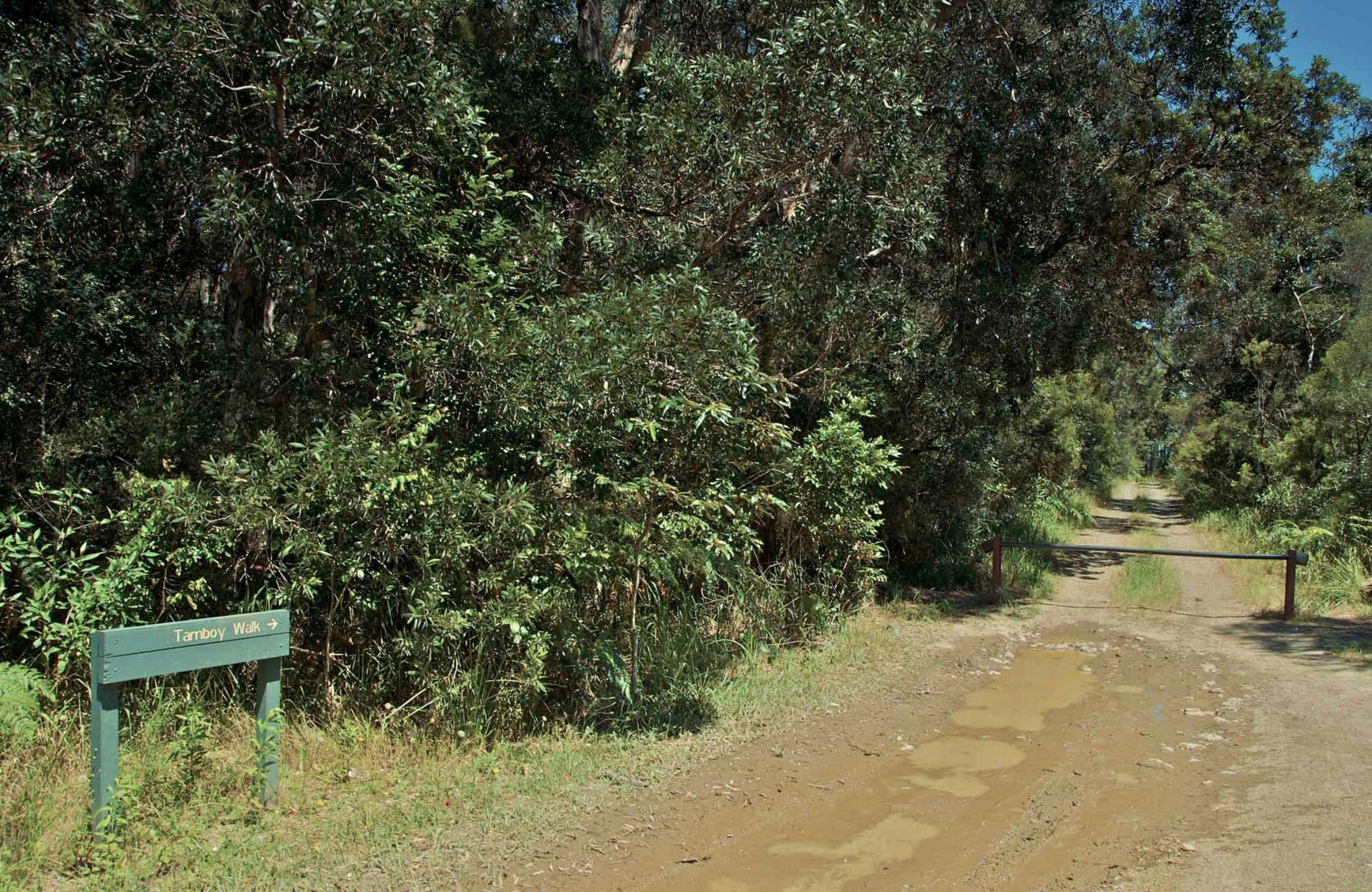 Tamboi walking track entrance, Myall Lakes National Park. Photo: John Spencer