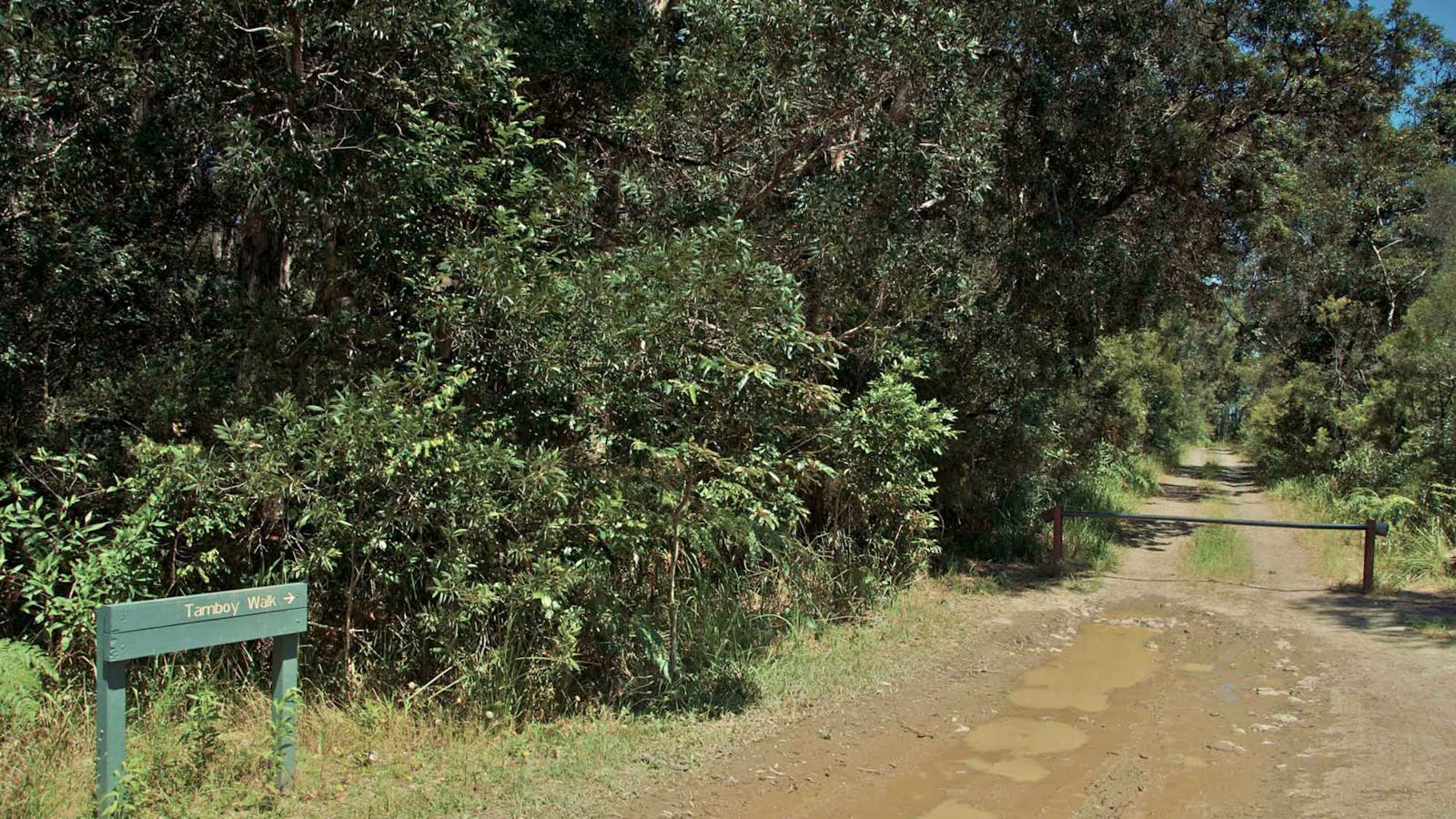 Tamboi Walking Track