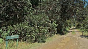 Tamboi Walking Track