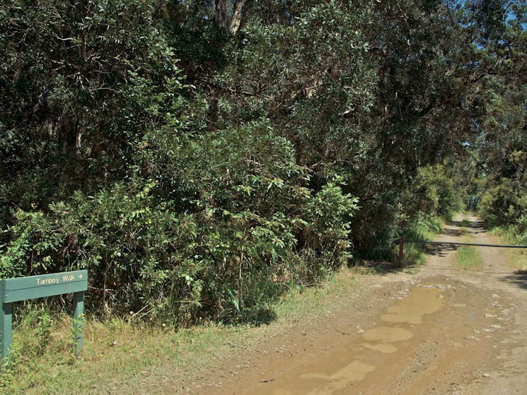 Tamboi walking track entrance, Myall Lakes National Park. Photo: John Spencer