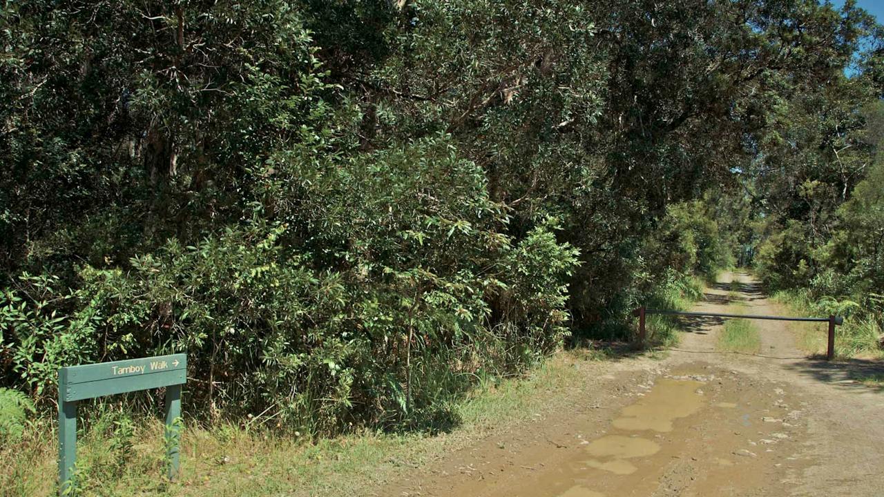 Tamboi Walking Track
