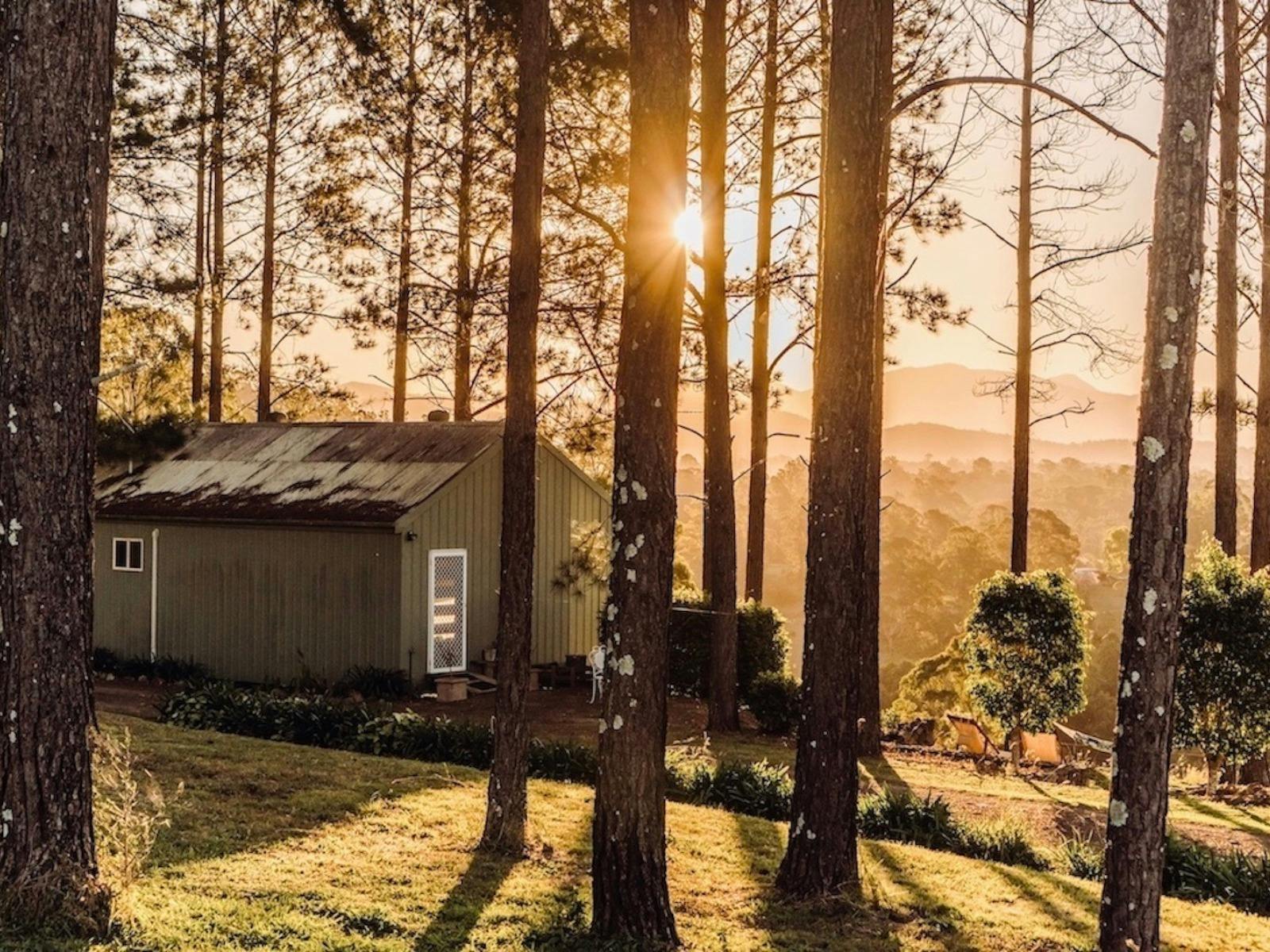 Braelee Studio hidden amongst the pine trees