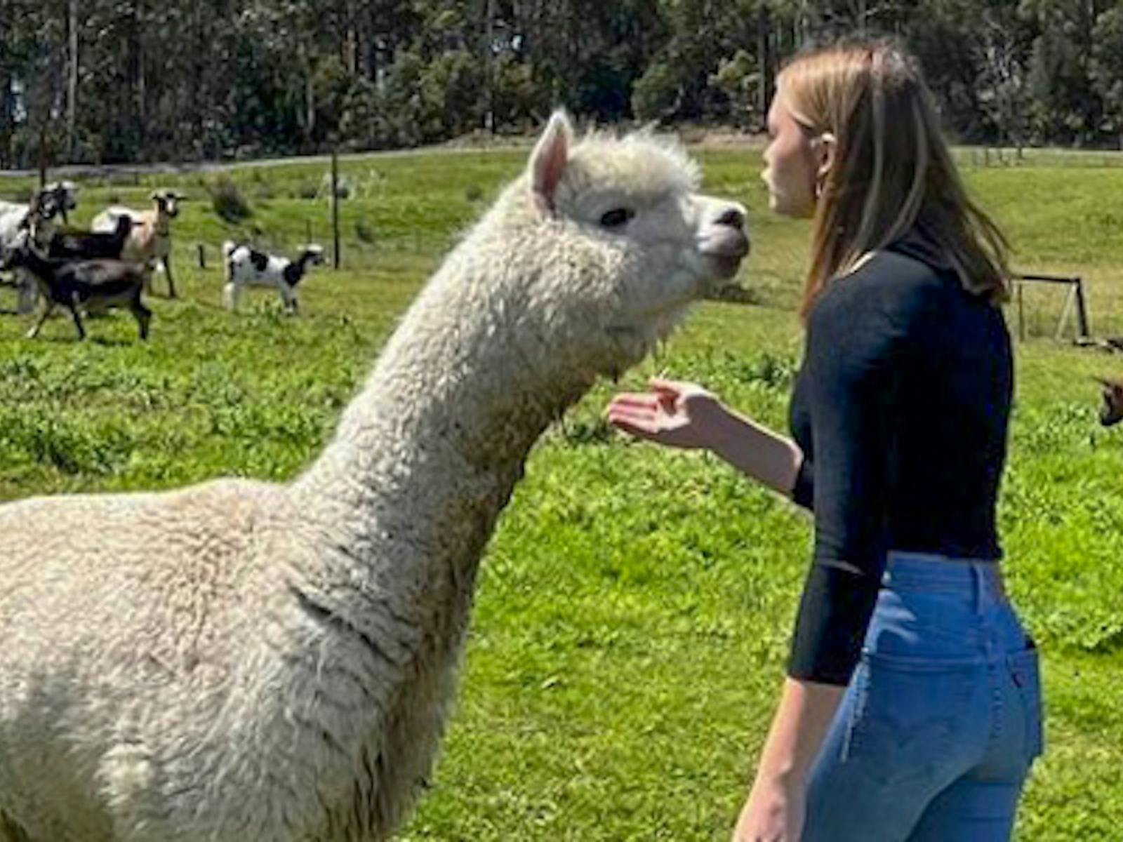 girl kissing an alpaca
