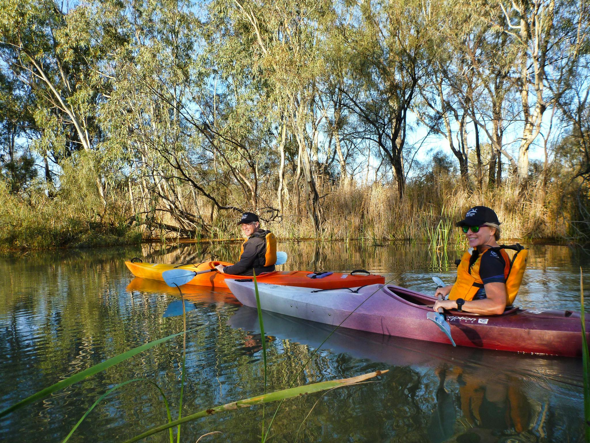 2 kayakers paddle a side creek lined with young eucalypt trees and shrubs.