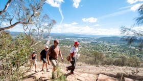 Mount Ainslie Lookout
