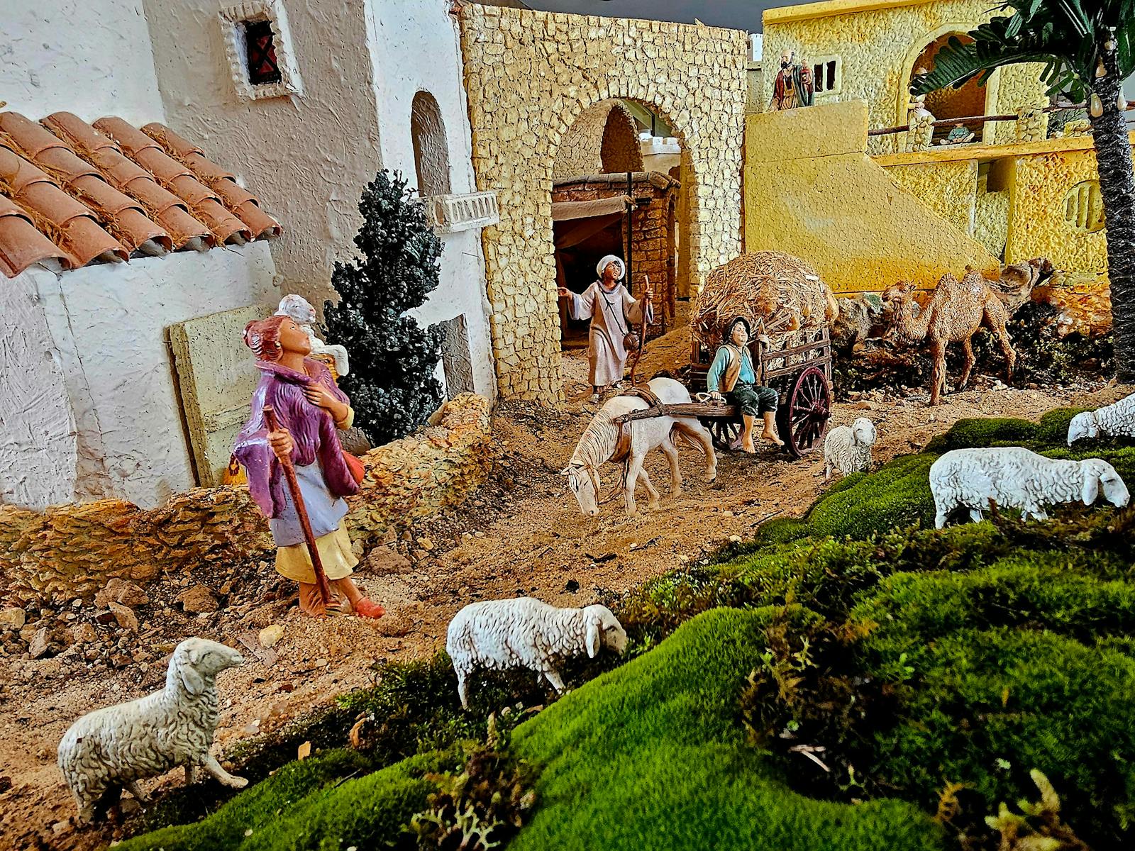 Image for Australian Nativity Scene (ANS)