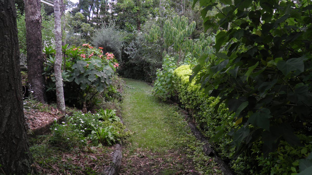 The Slope path
