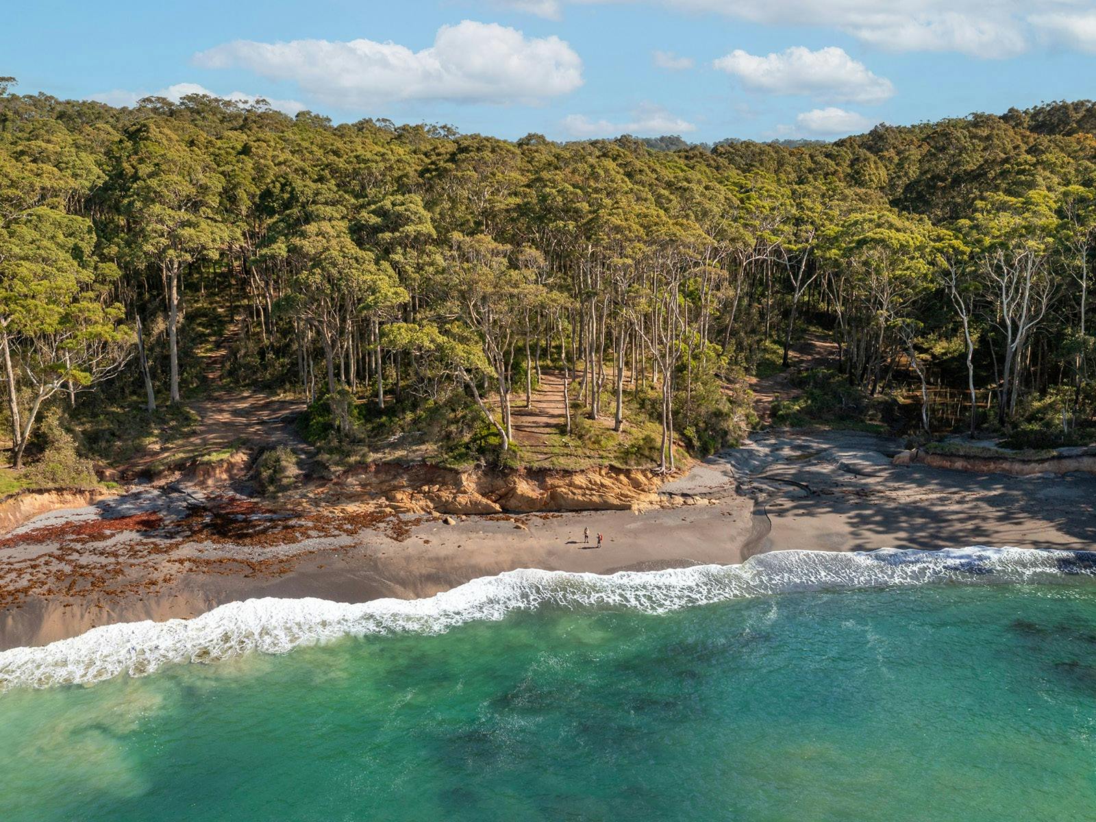 aerial view looking back toward a beach with dark grey sand and forested background