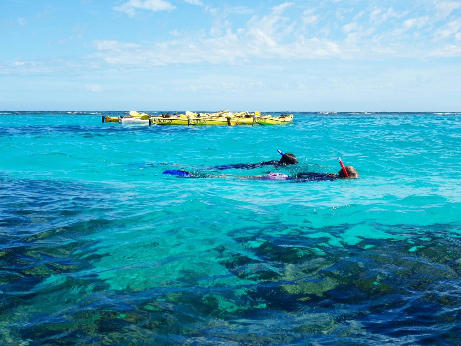 Two people snorkel in turquoise water with their kayaks anchored in the background